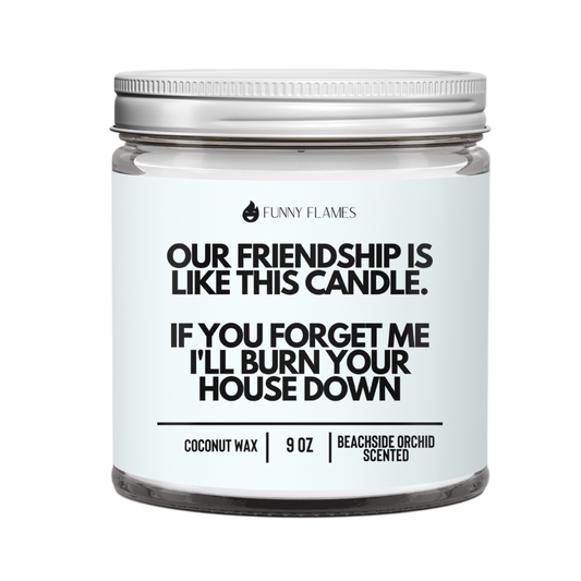 Our Friendship Is Like This Candle if you forget about me...
